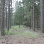 Šaltinis:©infokelme.lt