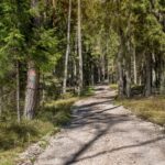 Kulautuvos sveikatingumo takas