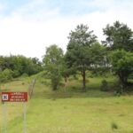 Lepšiškių piliakalnis
