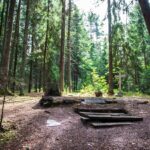 Šaltinis:@kaunorajonas.lt