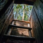 Šaltinis:@kaunorajonas.lt