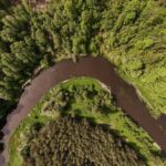 Dauginčių atodanga