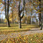 Salantų dvaro parkas