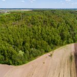 Gerduvėnų piliakalnis