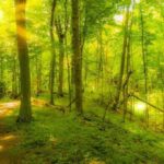 Kukuliškių piliakalnis