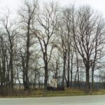 Nasrėnų kaimo kapinės