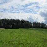 Bugailiškių piliakalnis