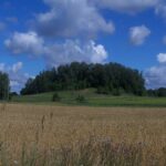 Papilių piliakalnis